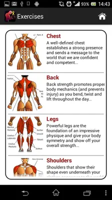 Dumbbell Muscle Workout Plan T android App screenshot 4